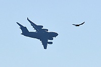 Canada Air Force – McDonnell Douglas C-17A Globemaster 177703