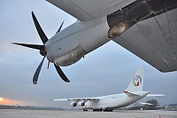 Maximus Air Cargo – Antonov AN-124-100 UR-ZYD