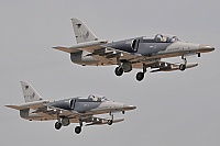 Czech Air Force – Aero L-159A 6059