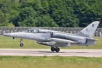 Czech Air Force – Aero L-159A 6060