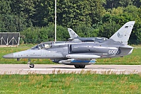 Czech Air Force – Aero L-159A 6060