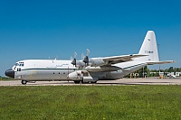 Algeria Air Force – Lockheed C-130H-30 Hercules 7T-WHP