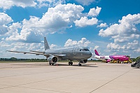 Hungary Air Force – Airbus A319-112 604