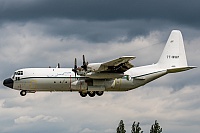 Algeria Air Force – Lockheed C-130H-30 Hercules 7T-WHP