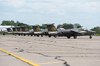 Sweden Air Force – Saab Sk60A (105) 136